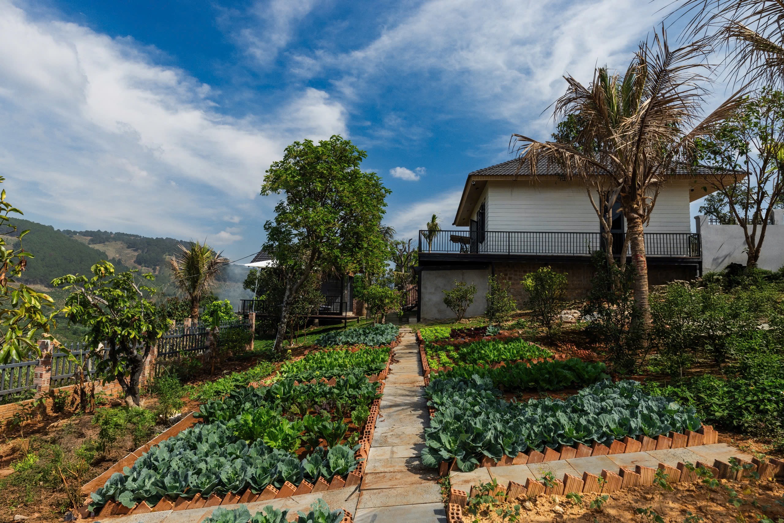 Villa ngoại ô view đẹp 6