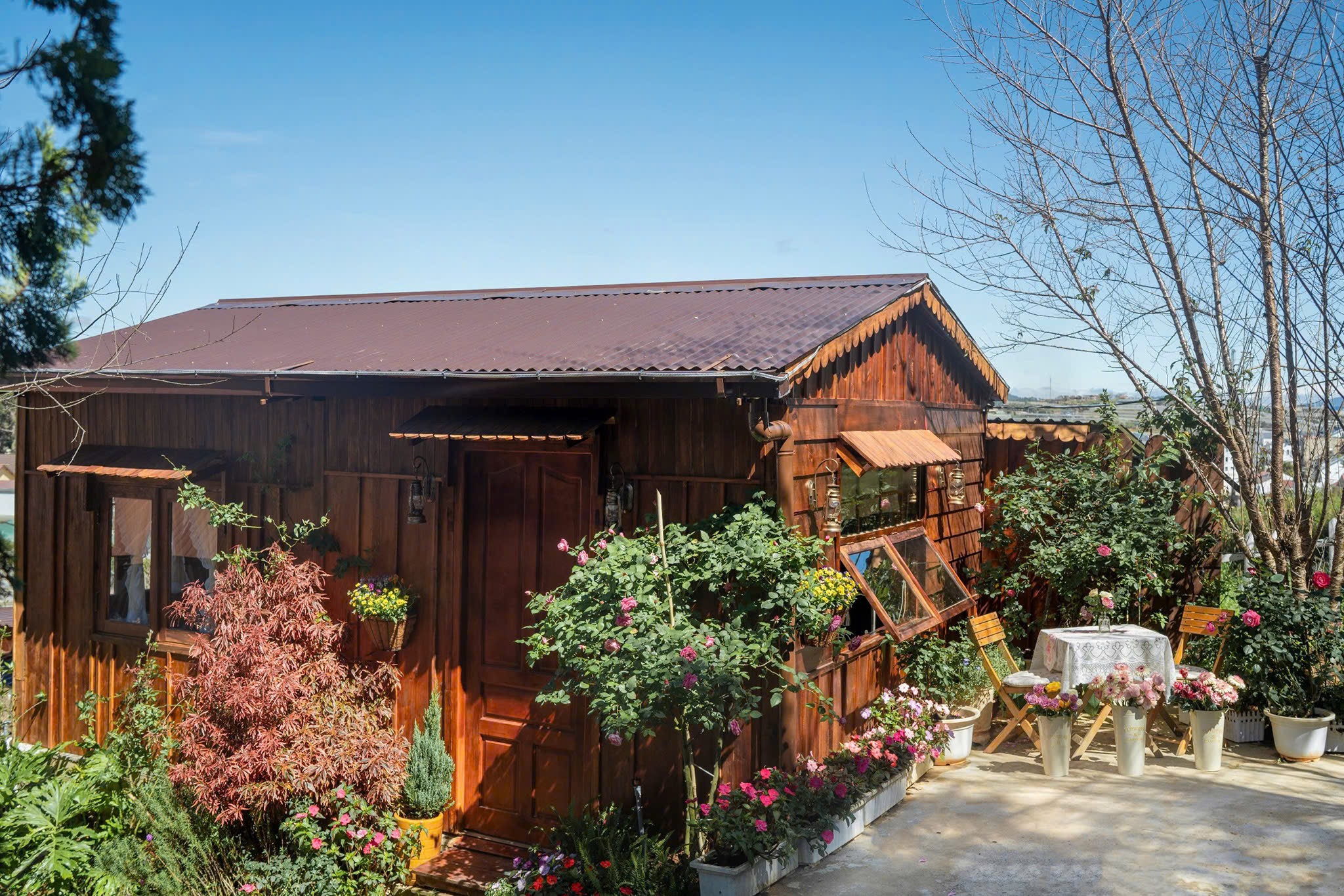 Nguyên căn gỗ VIP riêng biệt 1phòng ngủ