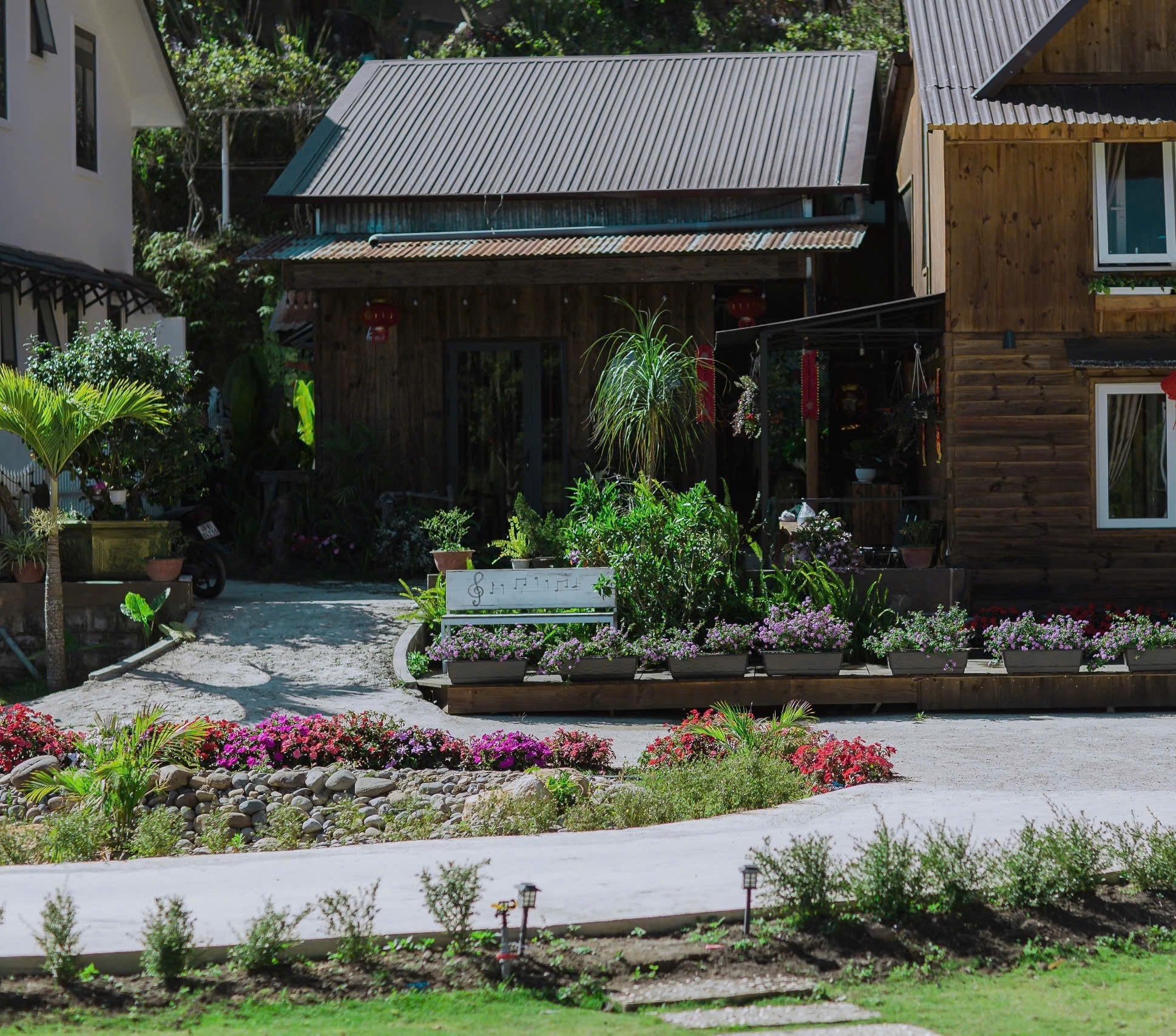 🌱 BÌNH YÊN GIỮA LÒNG ĐÀ LẠT 🌱 7