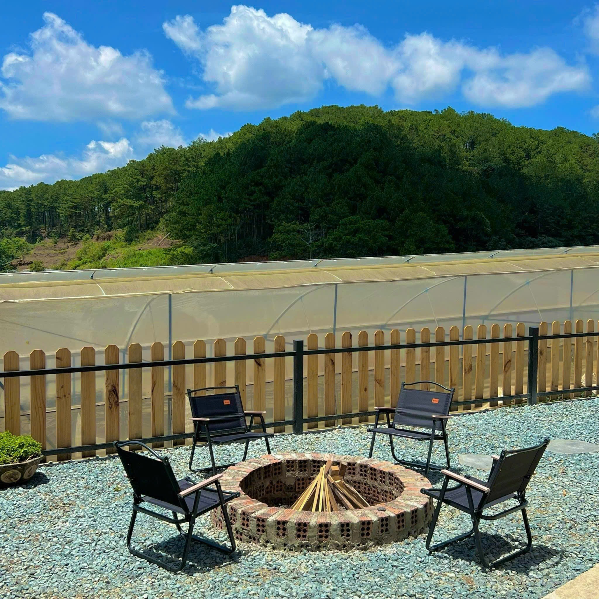 Home gỗ xinh xắn view rừng thông 2