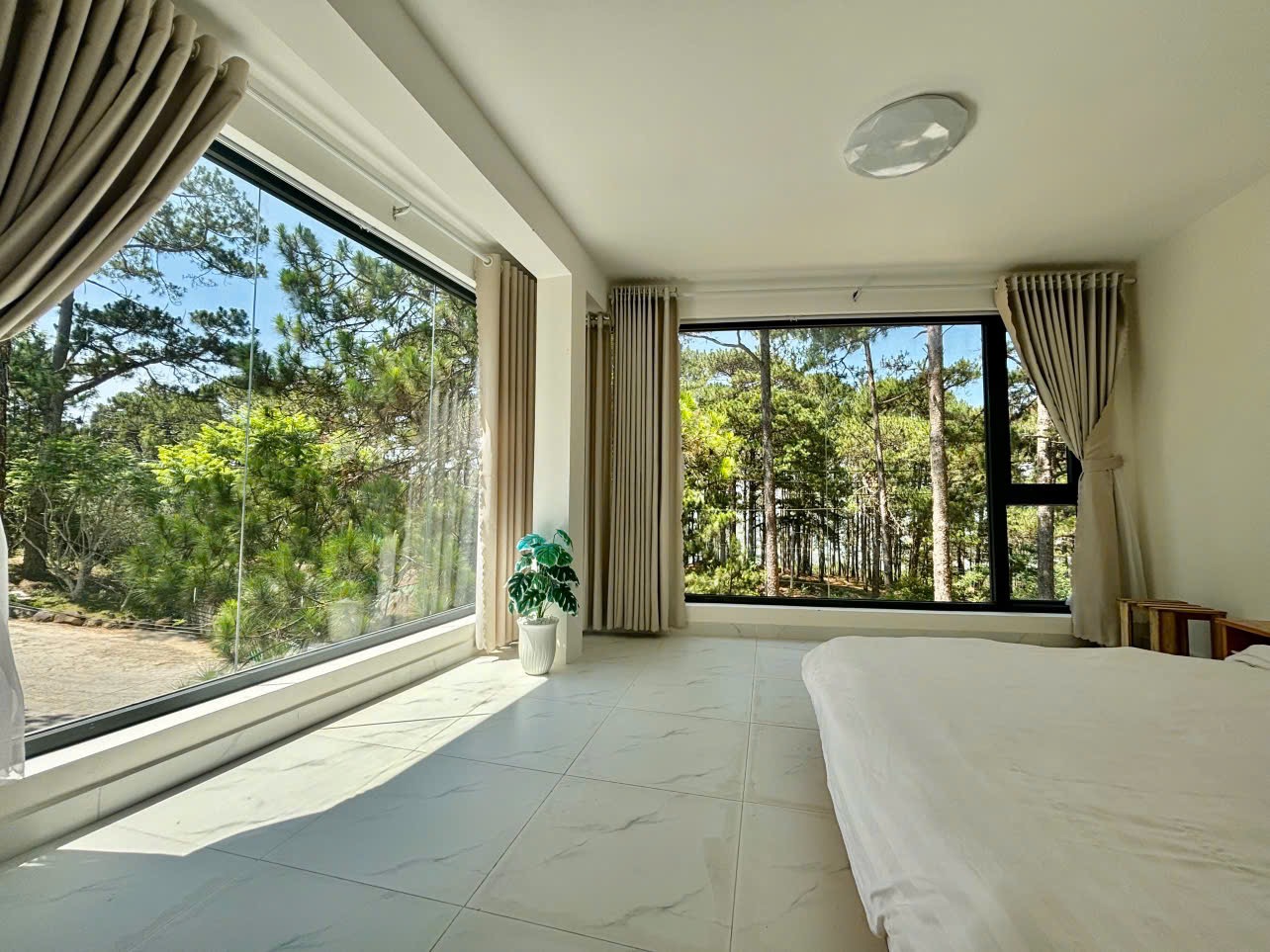 Villa view rừng thông 3